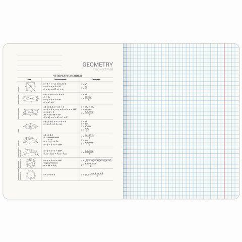 Тетрадь предметная МЕМЫ 48 л., TWIN-лак, ГЕОМЕТРИЯ, клетка, подсказ, BRAUBERG, 405101