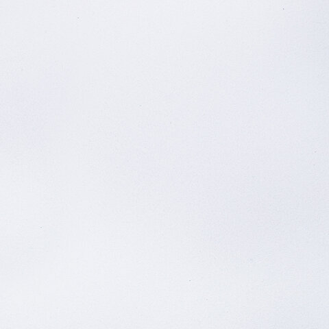 Альбом для акварели А4 24 л., бумага 180 г/м2, гребень, обложка картон, BRAUBERG KIDS, "Pets" (2 вида), 106712