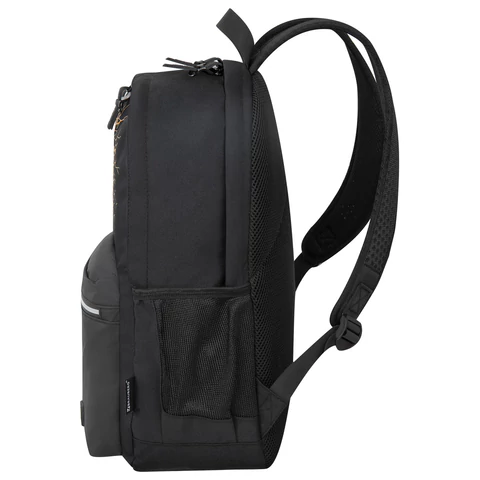 Рюкзак BRAUBERG FASHION CITY универсальный, 2 отделения, "Skull", черный, 46х31х15 см, 272572