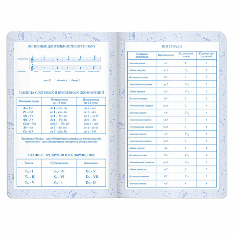 Дневник для музыкальной школы 140х210 мм, 48 л., обложка кожзам твердая, фольга, BRAUBERG, справочный материал, черный, 105502