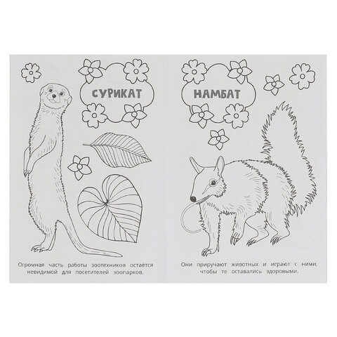 Книжка-раскраска "ПОПУЛЯРНЫЕ СЮЖЕТЫ" АССОРТИ, 145х210 мм, 16 страниц, "УМКА"
