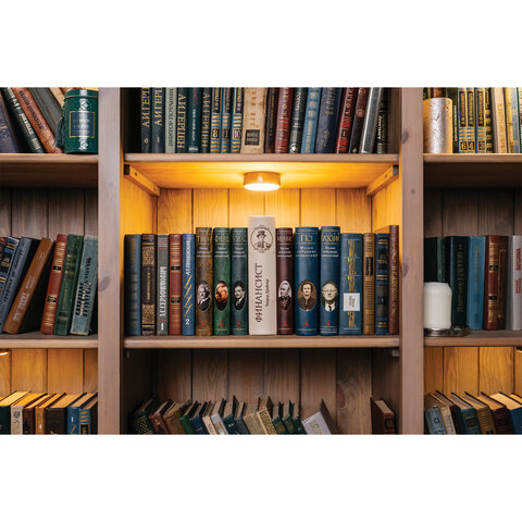 Сейф-книга "ФИНАНСИСТ", 60х170х240 мм, ключевой замок, BRAUBERG, 291057