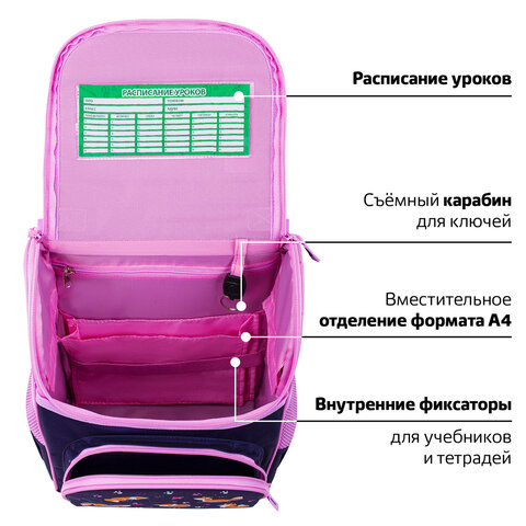 Ранец ПИФАГОР BASIC, 1 отделение, 3 кармана, эргономичная спинка, "Playing foxes", 35х28х18 см, 273136
