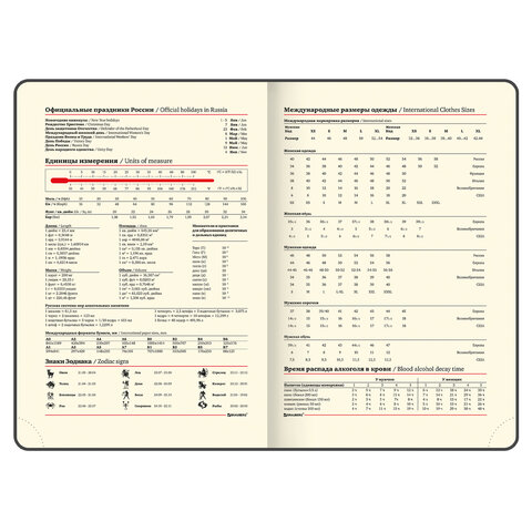 Ежедневник недатированный БОЛЬШОЙ ФОРМАТ 210х297 мм А4, BRAUBERG "Status", 160л, черный, 113360