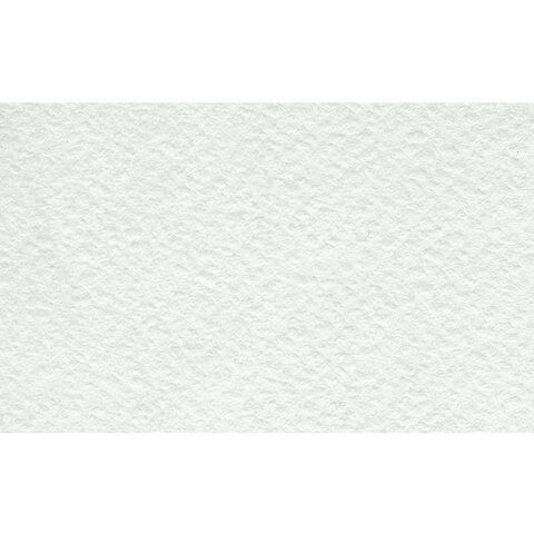 Папка для акварели БОЛЬШАЯ А3, 10 л., 200 г/м2, бумага ГОЗНАК, среднее зерно, "Флора", ПАЗ/10, ПА3/10