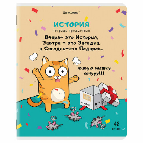Тетрадь предметная "КОТ-ЭНТУЗИАСТ" 48 л., TWIN-лак, ИСТОРИЯ, клетка, подсказ, BRAUBERG, 404563