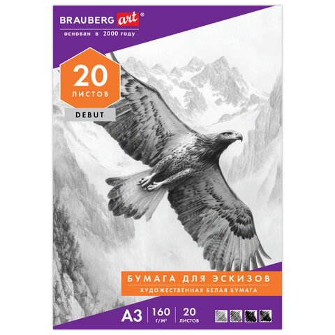 Папка для рисования БОЛЬШОГО ФОРМАТА А3, 20 л., 160 г/м2, BRAUBERG, 297х420 мм, "Орел", 125228