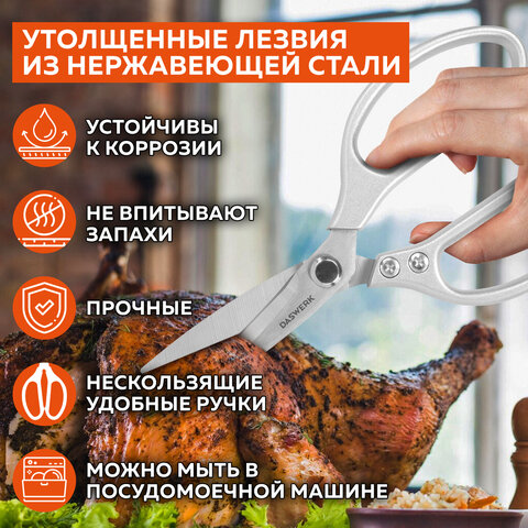 Ножницы кухонные DASWERK (ДАСВЕРК), 210 мм, удлиненное лезвие, металлические ручки, 608900