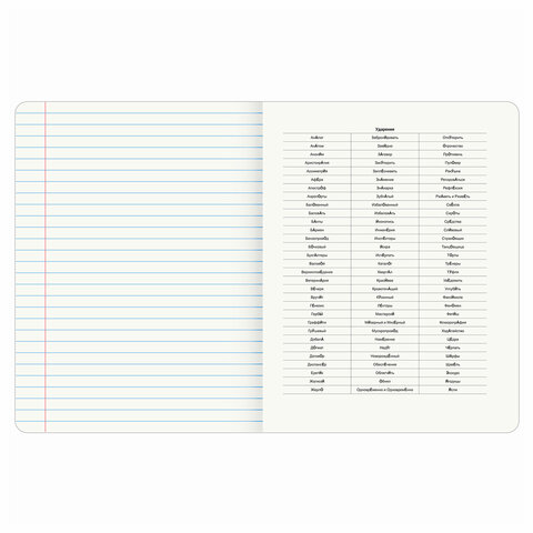 Тетрадь предметная "КОТ-ЭНТУЗИАСТ" 48 л., TWIN-лак, РУССКИЙ ЯЗЫК, линия, подсказ, BRAUBERG, 404565