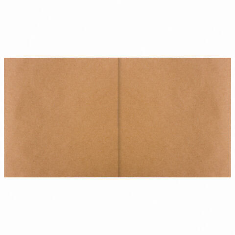 Альбом для рисования, крафт-бумага 70 г/м2, 205х195 мм, 40 л., на скобе, BRAUBERG ART CLASSIC, 105914