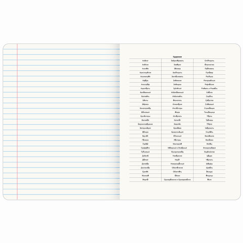 Тетрадь предметная VINTAGE 48 л., SoftTouch, РУССКИЙ ЯЗЫК, линия, подсказ, BRAUBERG, 405157