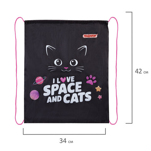 Мешок для обуви ПИФАГОР, 1 отделение, 42х34 см, "Dark kitten", 273419