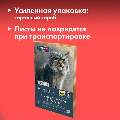 Бумага для пастели АБРАЗИВНАЯ А4, 190х270 мм, в коробке, 40 листов, 10 цветов, 240 г/м2, BRAUBERG ART, 117767