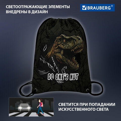 Мешок для обуви BRAUBERG PREMIUM, карман, подкладка, светоотражайка, 43х33 см, Dino attack, 272424
