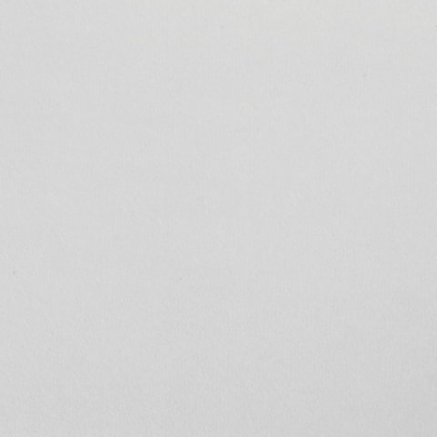 Бумага для акварели БОЛЬШАЯ А3, 10 л., 200 г/м2, 297х420 мм, BRAUBERG, "Сакура", 125224