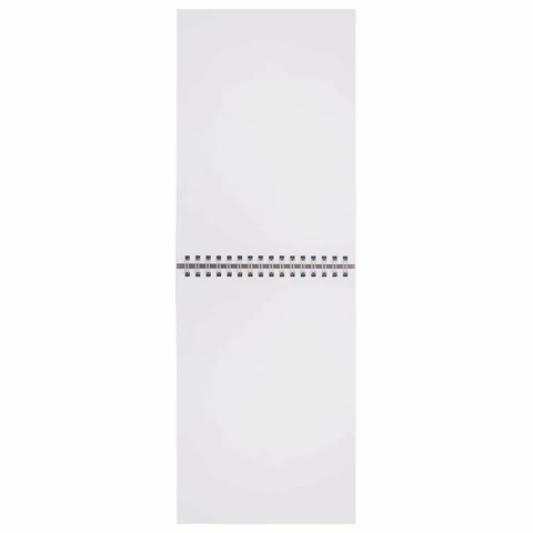 Скетчбук, белая бумага 160 г/м2, 145х205 мм, 30 л., гребень, жёсткая подложка, BRAUBERG ART DEBUT, 110989