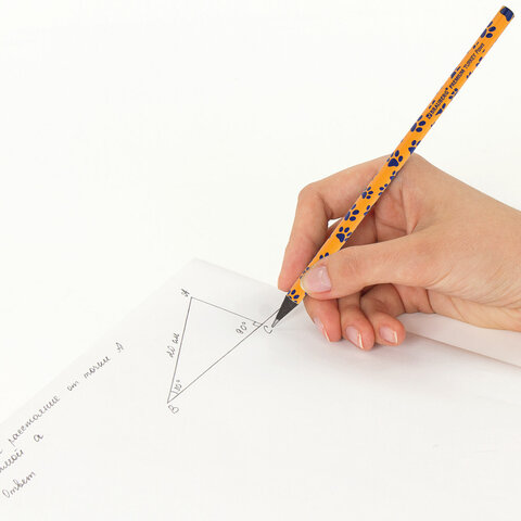 Карандаш чернографитный BRAUBERG "PREMIUM TURKEY", 1 шт., "Paws", НВ, ассорти, дисплей, 181566