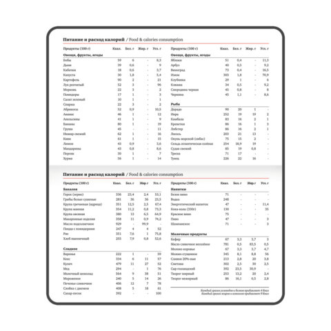 Еженедельник датированный 2026, МАЛЫЙ ФОРМАТ 95х155 мм, А6, BRAUBERG "Select", балакрон, бордо, 117194