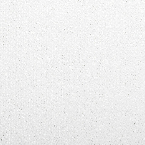 Холст на картоне, 25х30 см, грунтованный, хлопок, мелкое зерно, BRAUBERG ART CLASSIC, 191670