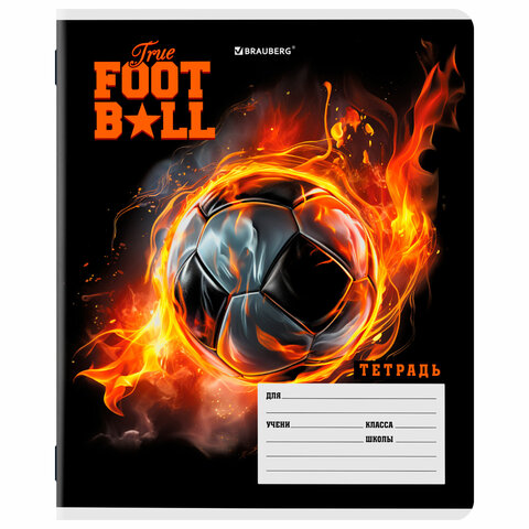 Тетрадь 12 л. BRAUBERG клетка, обложка картон, МИКС-3, 107270