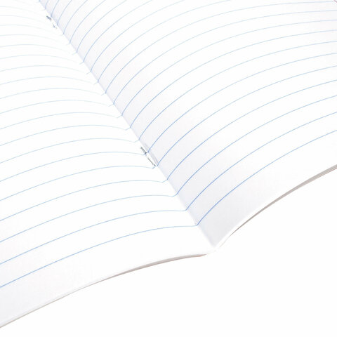 Тетрадь 12 л. BRAUBERG, линия, обложка картон, "ПРИНЦЕССА", 106470