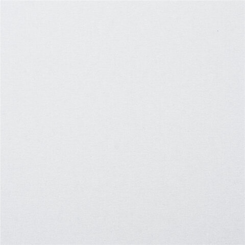 Картон белый А4 МЕЛОВАННЫЙ (белый оборот), 25 листов, BRAUBERG, 210х297 мм, 124021