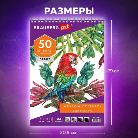 Скетчбук, белая бумага 100 г/м2, 205х290 мм, 50 л., гребень, жёсткая подложка, BRAUBERG ART DEBUT, 110983