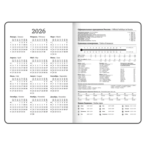 Ежедневник датированный 2026 с резинкой 145х203 мм, А5, BRAUBERG, твердый, фольга, "Мрамор", 117340