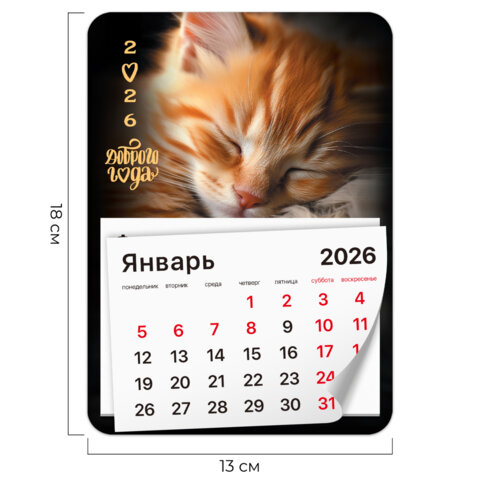 Календарь отрывной на магните на 2026 г., BRAUBERG, 130x180 мм, склейка, "Котик", 117289