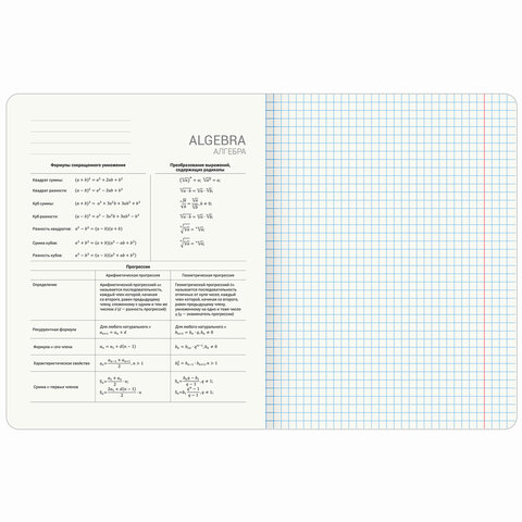 Тетради предметные, КОМПЛЕКТ 13 ПРЕДМЕТОВ, 48 л., SoftTouch, BRAUBERG "PEACEFUL", 405182