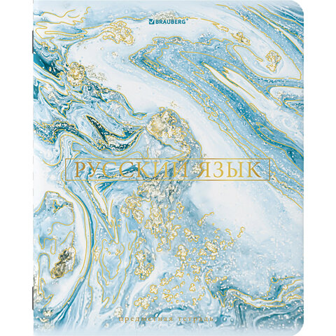 Тетради предметные со справочным материалом, КОМПЛЕКТ 10 ПРЕДМЕТОВ, 48 л., SoftTouch, фольга, BRAUBERG, "PASTEL", 404031