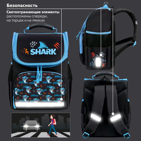 Ранец ПИФАГОР BASIC, 1 отделение, 3 кармана, эргономичная спинка, "Angry shark", 35х28х18 см, 272044