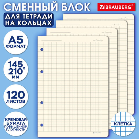 Сменный блок для тетради на кольцах А5 120 л., BRAUBERG, ПОВЫШЕННОЙ ПЛОТНОСТИ, кремовый, 403639