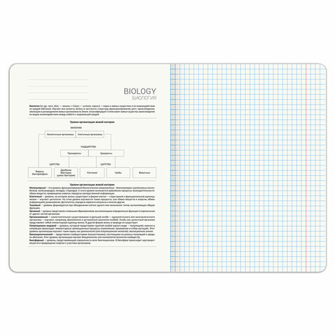 Тетрадь предметная DOG БОБИК 48 л., TWIN-лак, БИОЛОГИЯ, клетка, подсказ, BRAUBERG, 404785