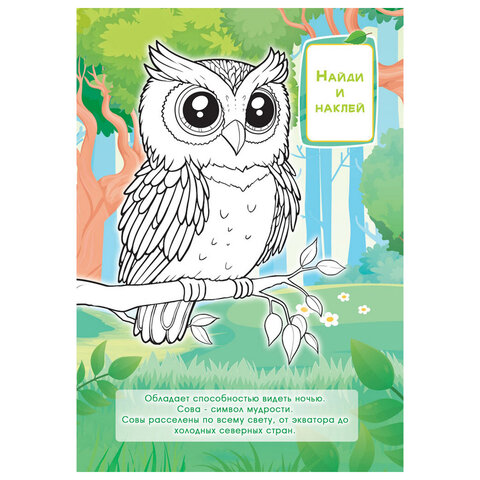 Раскраска с заданиями +56 наклеек "Наклей и раскрась" с цветным фоном, А5, 16 стр., 16,2х23,4 см, АССОРТИ, ЛиС