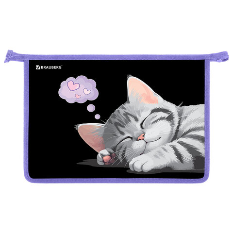 Папка для труда на молнии BRAUBERG А4, 2 отделения, органайзер, "Sleeping kitten", 273401