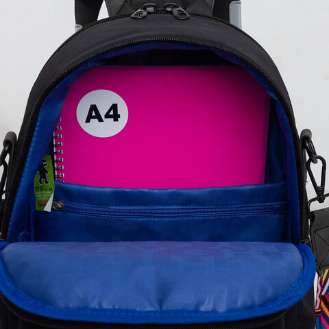 Рюкзак GRIZZLY, 2 отделения, съёмный ремень, "ORNAMENT", 38х29х15 см, RD-546-1/1