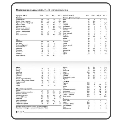 Еженедельник недатированный с резинкой 171х93 мм, BRAUBERG, твердый, 64 л., "Minimal", сиреневый, 116308
