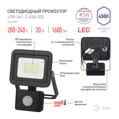 Прожектор светодиодный ЭРА, датчик движения, 20(175) Вт, 6500К, 1600 Лм, IP65, черный, LPR-041-2-65K-020, Б0043585