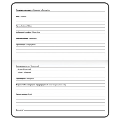 Еженедельник недатированный с резинкой (171х93 мм), BRAUBERG, твердый, УФ-ЛАК, 64 л., "Blur", 114576