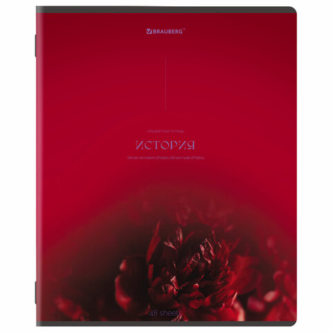 Тетради предметные, КОМПЛЕКТ 13 ПРЕДМЕТОВ, 48 л., SoftTouch, BRAUBERG "PEACEFUL", 405182