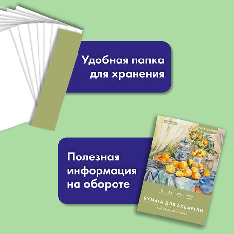 Папка для акварели А4, 210х297 мм, 10 листов, 200 г/м2, BRAUBERG АКАДЕМИЯ (ДЭК), "Апельсины", 117743