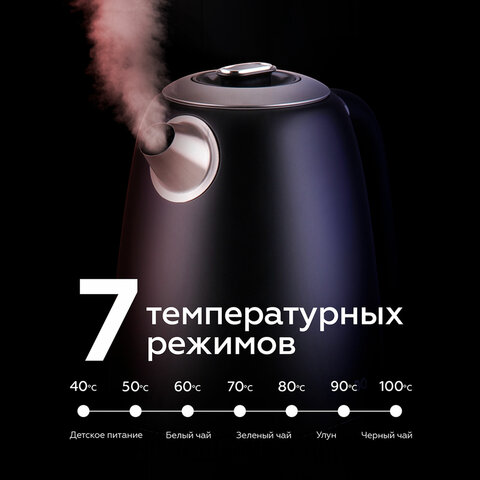 Чайник BQ (БИ-КЬЮ) KT1724SW, 1,7 л, 2200 Вт, закрытый нагревательный элемент, ТЕРМОРЕГУЛЯТОР, черный, 86195511