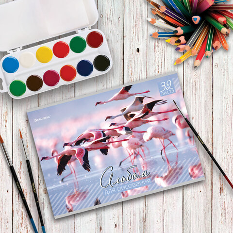 Альбом для рисования, А4, 32 листа, скоба, обложка картон, BRAUBERG, 200х283 мм, "Живая природа" (2 вида), 103683