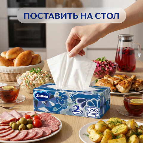 Салфетки косметические 2-слойные в картонном коробе, 250 штук, ZEMMA/ZEWA Everyday, 86791