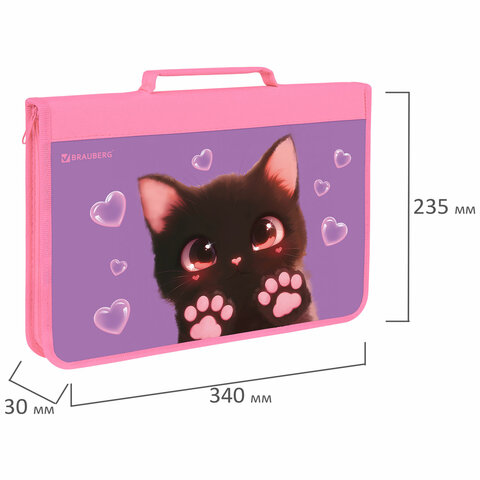 Папка на молнии BRAUBERG А4 с ручкой, с органайзером, 1 отделение, "Paw prints", 273383