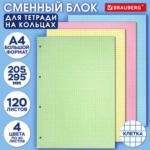 Сменный блок к тетради на кольцах БОЛЬШОЙ ФОРМАТ А4, 120 л., BRAUBERG, (4 цвета по 30 листов), 404519