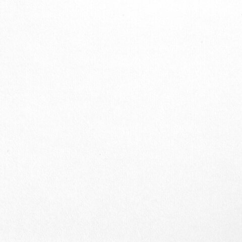 Бумага для акварели БОЛЬШАЯ А2, 10 л., 200 г/м2, 400х590 мм, BRAUBERG, "Цветы", 125223