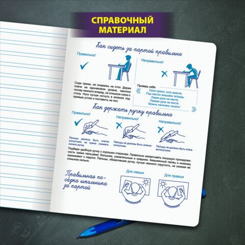 Тетрадь ПРОПИСЬ № 5 12 л. узкая линия, со справочным материалом, обложка картон, ЮНЛАНДИЯ, 404850