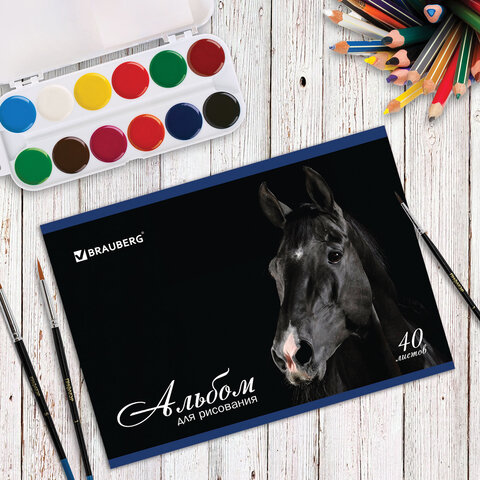 Альбом для рисования, А4, 40 листов, скоба, обложка картон, BRAUBERG, 200х283 мм, "Благородные кони" (2 вида), 103728